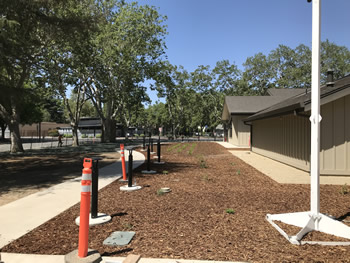 The cement walkway from Minaret Avenue that leads to the front of the library. There are mature trees to the left and an area for plants that is covered with bark mulch to the right. The tan library walls are to the right.