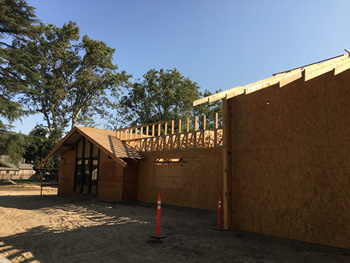 View of the exterior library plywood walls.