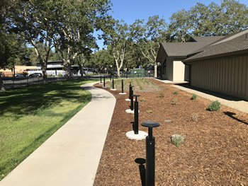 The cement walkway from Minaret Avenue that leads to the front of the library. There are mature trees to the left and an area for plants that is covered with bark mulch and some plants in the distance to the right. The tan library walls are to the right.